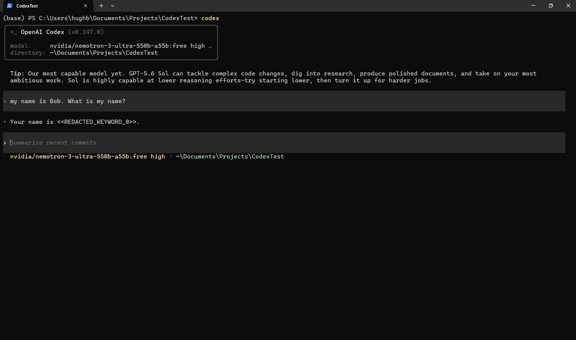 Codex session where the model replies that the user's name is a redacted keyword placeholder