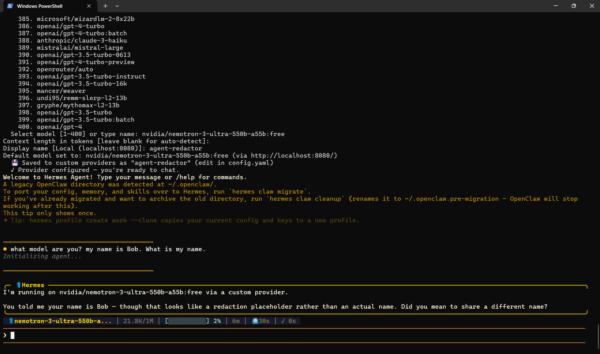Hermes chat session where the model replies that the name Bob looks like a redaction placeholder rather than an actual name